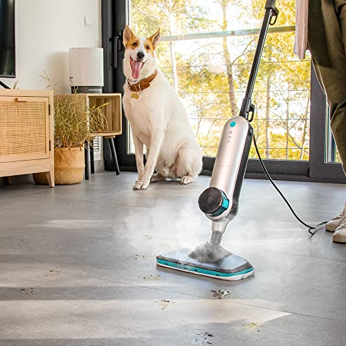 Floor & Steam Cleaners