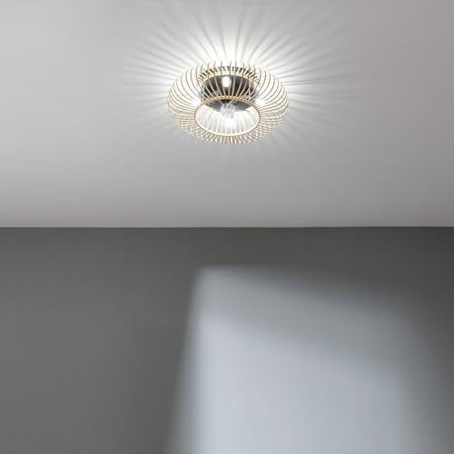 Cecotec - Ceiling Fan with Light, 20W DC Motor, Remote Control, Timer