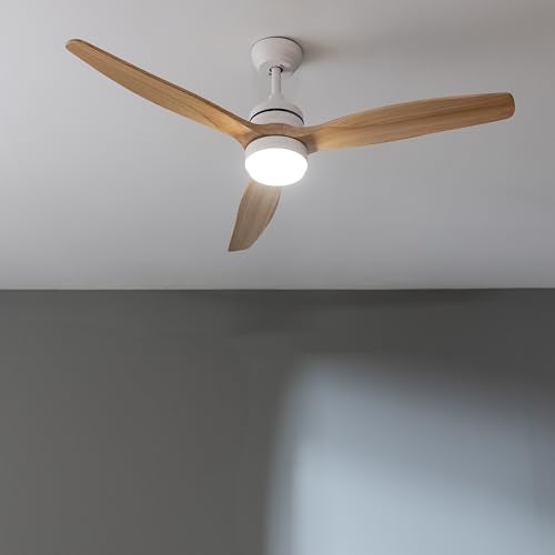 Cecotec - Ceiling Fan with Light, 40W DC Motor, Remote Control, Timer
