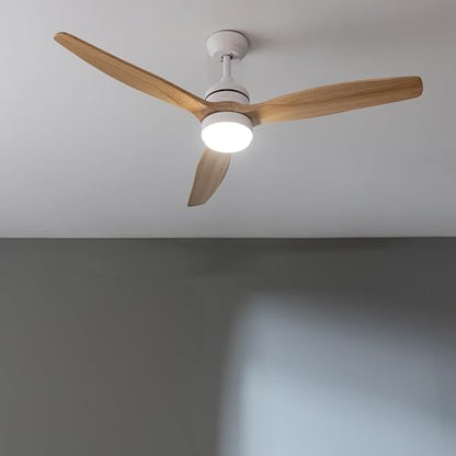 Cecotec - Ceiling Fan with Light, 40W DC Motor, Remote Control, Timer