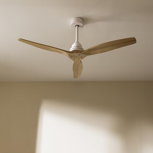 Cecotec - EnergySilence Aero 590 Fan with 70W Power, 3 Blades, Remote Control