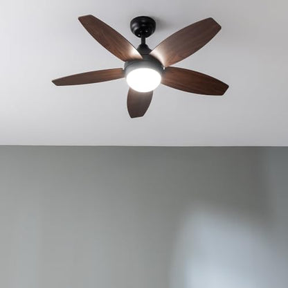 Cecotec - EnergySilence Aero 4200 Ceiling Fan with 3-Speed, Timer, 5 Blades
