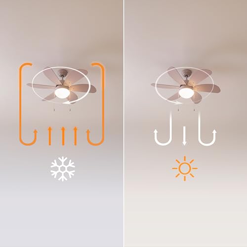 Cecotec EnergySilence Aero 3600 Vision Ceiling Fan With Light - 50W Power