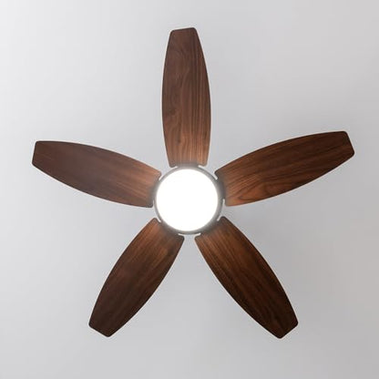 Cecotec - EnergySilence Aero 4200 Ceiling Fan with 3-Speed, Timer, 5 Blades