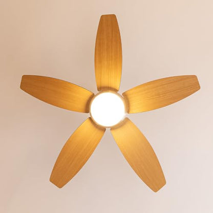 Cecotec - Energysilence Aero 495 Ceiling Fan with LED Light, Remote Control, 3 Speeds