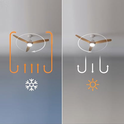 Cecotec - Ceiling Fan with Light, 40W DC Motor, Remote Control, Timer