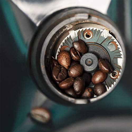 Cecotec SteelMill 2000 Adjust Coffee Grinder - Perfect for Freshly Ground Coffee