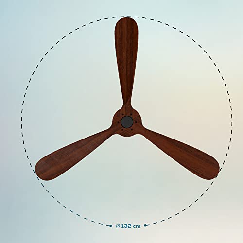 Cecotec Ceiling Fan With Remote and Wi-Fi - EnergySilence Aero 5500