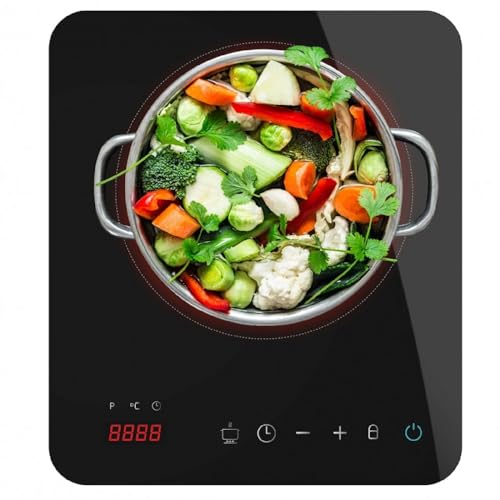 Cecotec Portable Induction Cooker in black with enamelled glass design and touch control features