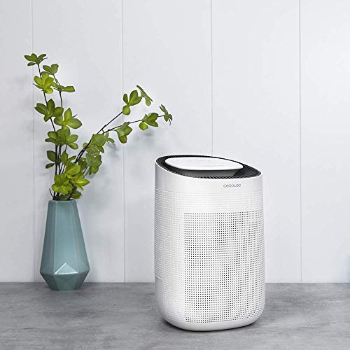 Cecotec - BigDry 2500 PureLight Dehumidifier, 750 ml/day, 1L Tank, 2 Speeds