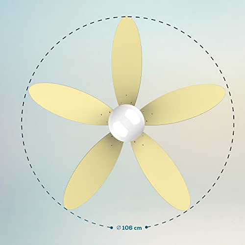 Cecotec Ceiling Fan With LED Light & Remote Control - Silent Operation