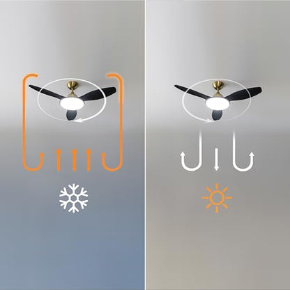 Cecotec - EnergySilence Ceiling Fan with Light, 36W DC Motor, Remote Control, 48" Diameter