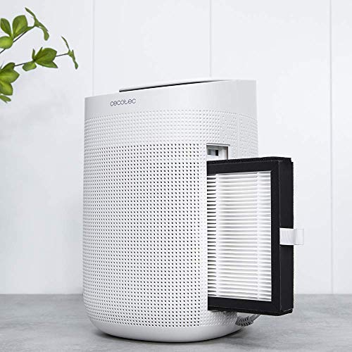 Cecotec - BigDry 2500 PureLight Dehumidifier, 750 ml/day, 1L Tank, 2 Speeds