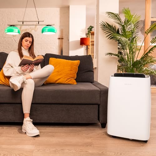 Cecotec BigDry 10000 Expert Dehumidifier - 30L/day Moisture Control