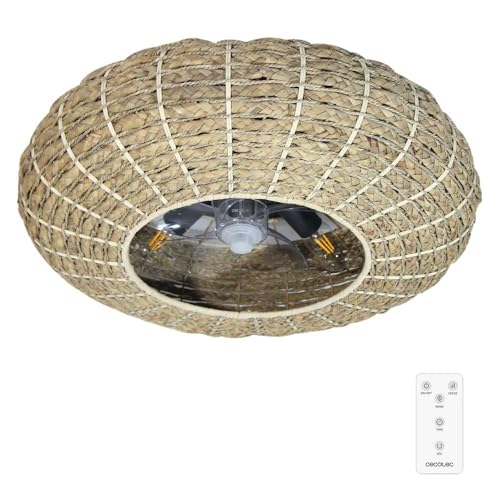 Cecotec Ceiling Fan with Light and Remote Control, 20W DC Motor