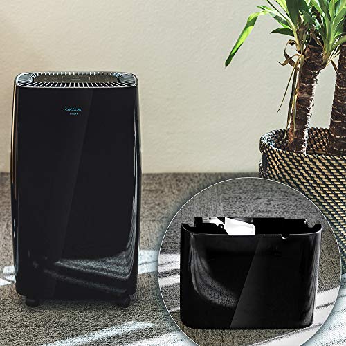 Cecotec Big Dry 4000 Expert Dehumidifier With Timer - 10L Daily Capacity