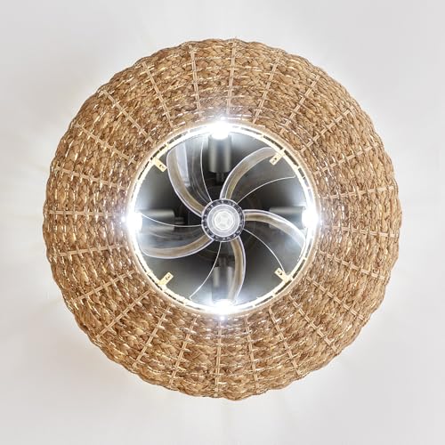 Cecotec - Ceiling Fan with Light, DC Motor 20W, Remote Control, 5 Blades