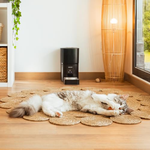 Cecotec - Smart Automatic Pet Food Dispenser with Wi-Fi Control, 6L Capacity