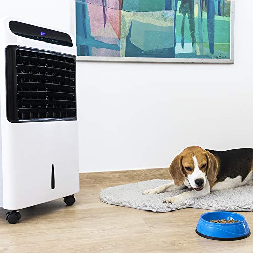 Cecotec - EnergySilence PureTech 6500 Cooler, 80W, 12L Capacity, Remote Control