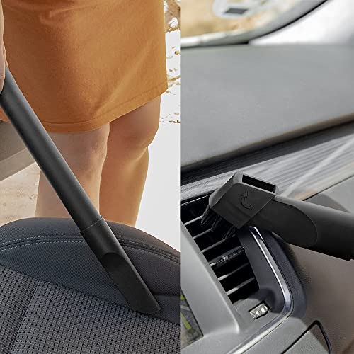 Cecotec - 1000W Wet & Dry Vacuum Cleaner, Lightweight, Compact, Dual Function