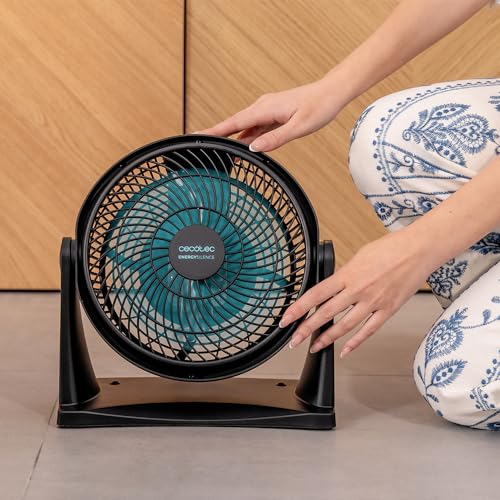 Cecotec - EnergySilence 900 Industrial Fan, 30W Power, 22cm Diameter, 2 Speed