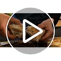 Cecotec 5.5 L Intelligent Oil-Free Fryer With PerfectCook Technology